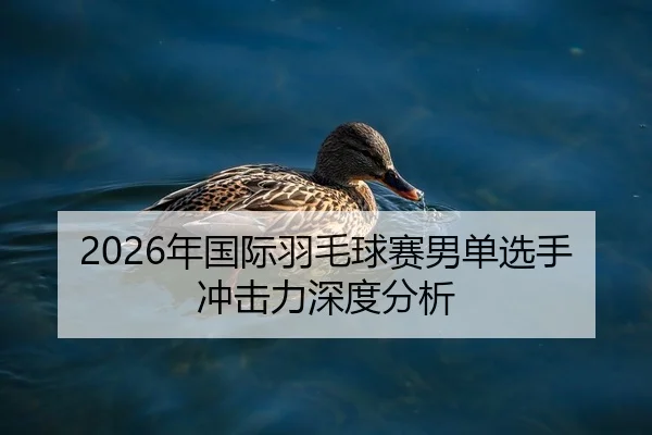 2026年国际羽毛球赛男单选手冲击力深度分析 - 6686app