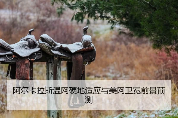 a-er-ka-la-si-wen-wang-ying-di-shi-ying-yu-mei-wang-wei-mian-qian-jing-yu-ce-2-200.jpg